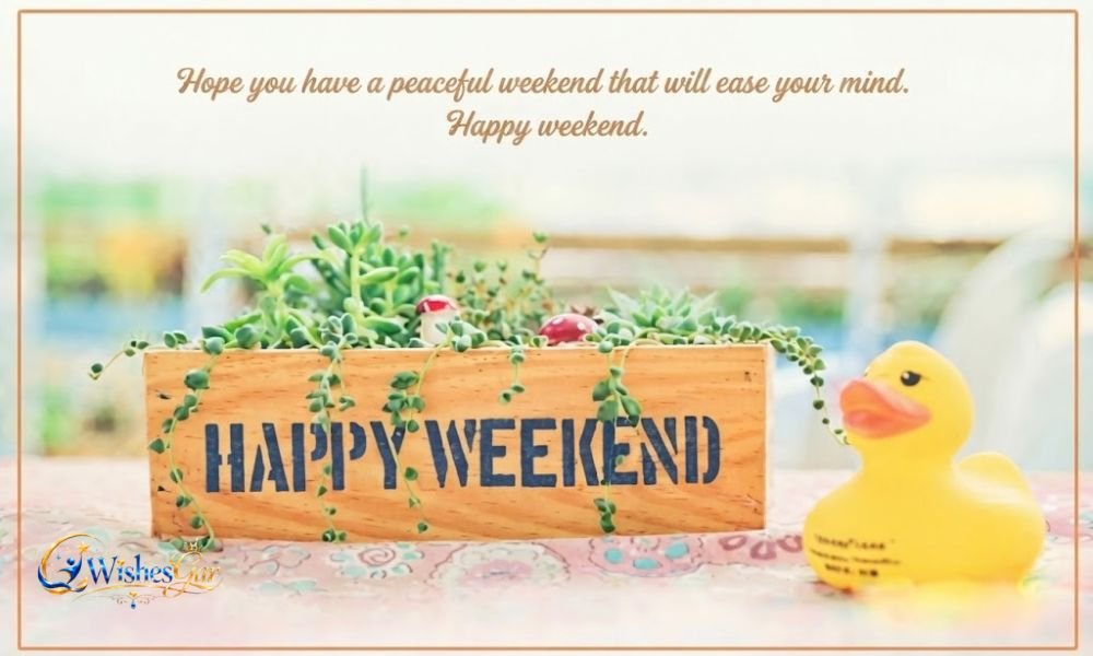 Cute Weekend Wishes