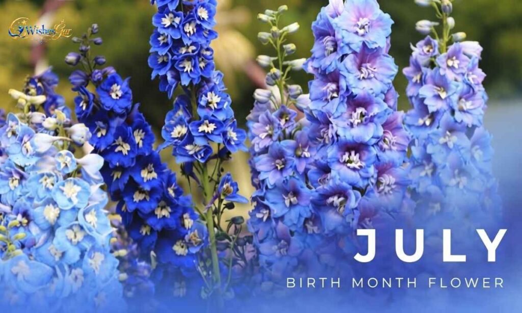 Birthday Month Flowers