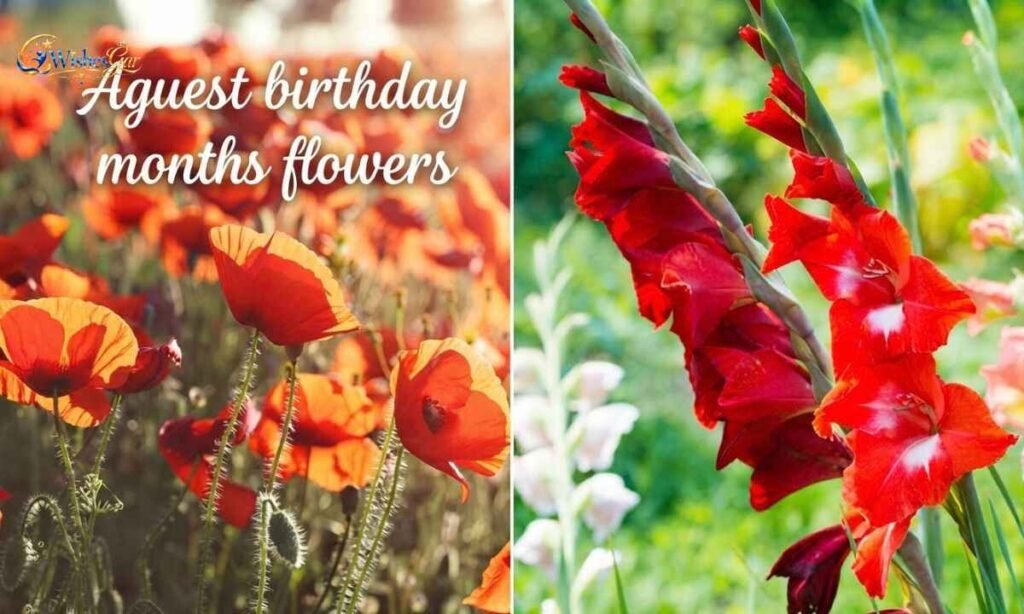 Birthday Month Flowers