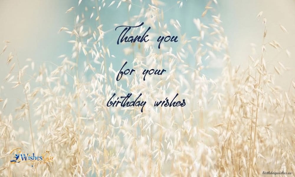 Thank You Messages for Birthday Wishes 